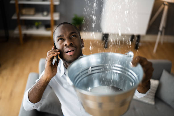 Best Mold removal after water damage  in North Beach, MD