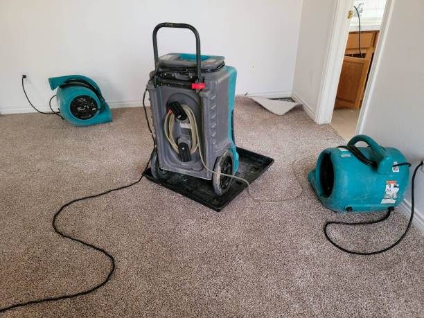 Best Water damage contractors near me  in North Beach, MD
