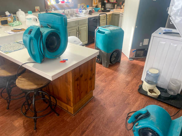  North Beach, MD Water damage restoration Pros