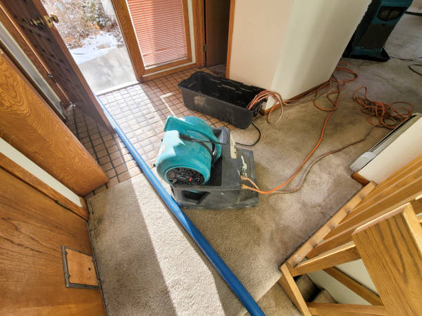 Best Water damage contractors near me  in North Beach, MD