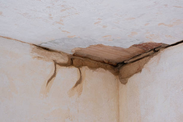 Best Water damage restoration near me  in North Beach, MD