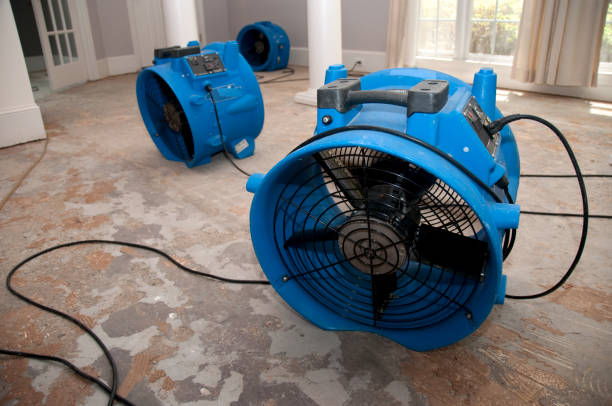 Best Water damage restoration near me  in North Beach, MD