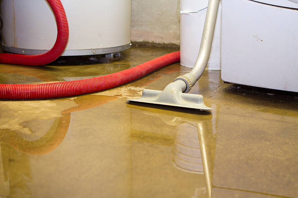 Best Flooded house restoration  in North Beach, MD