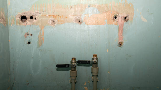Best Flood damage cleanup  in North Beach, MD