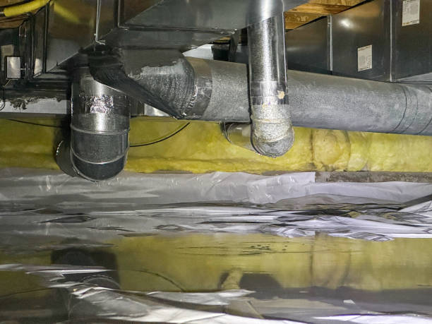 Best 24/7 water damage repair  in North Beach, MD