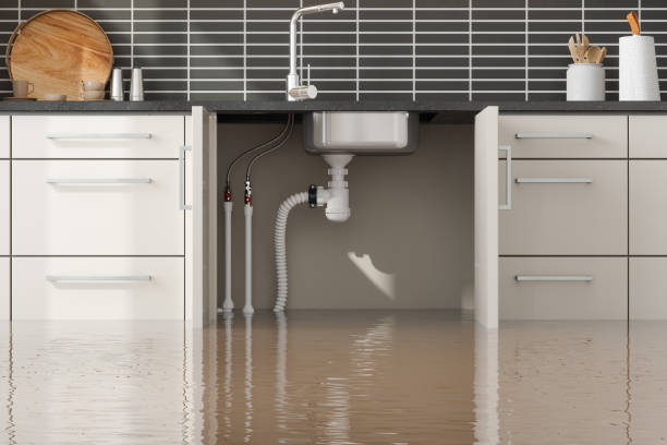 Best Water damage restoration mold remediation  in North Beach, MD