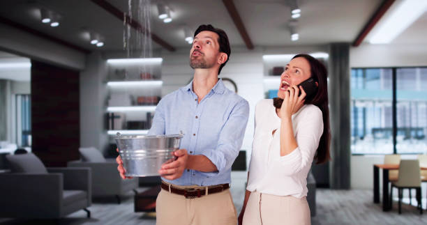 Best Water damage restoration near me  in North Beach, MD